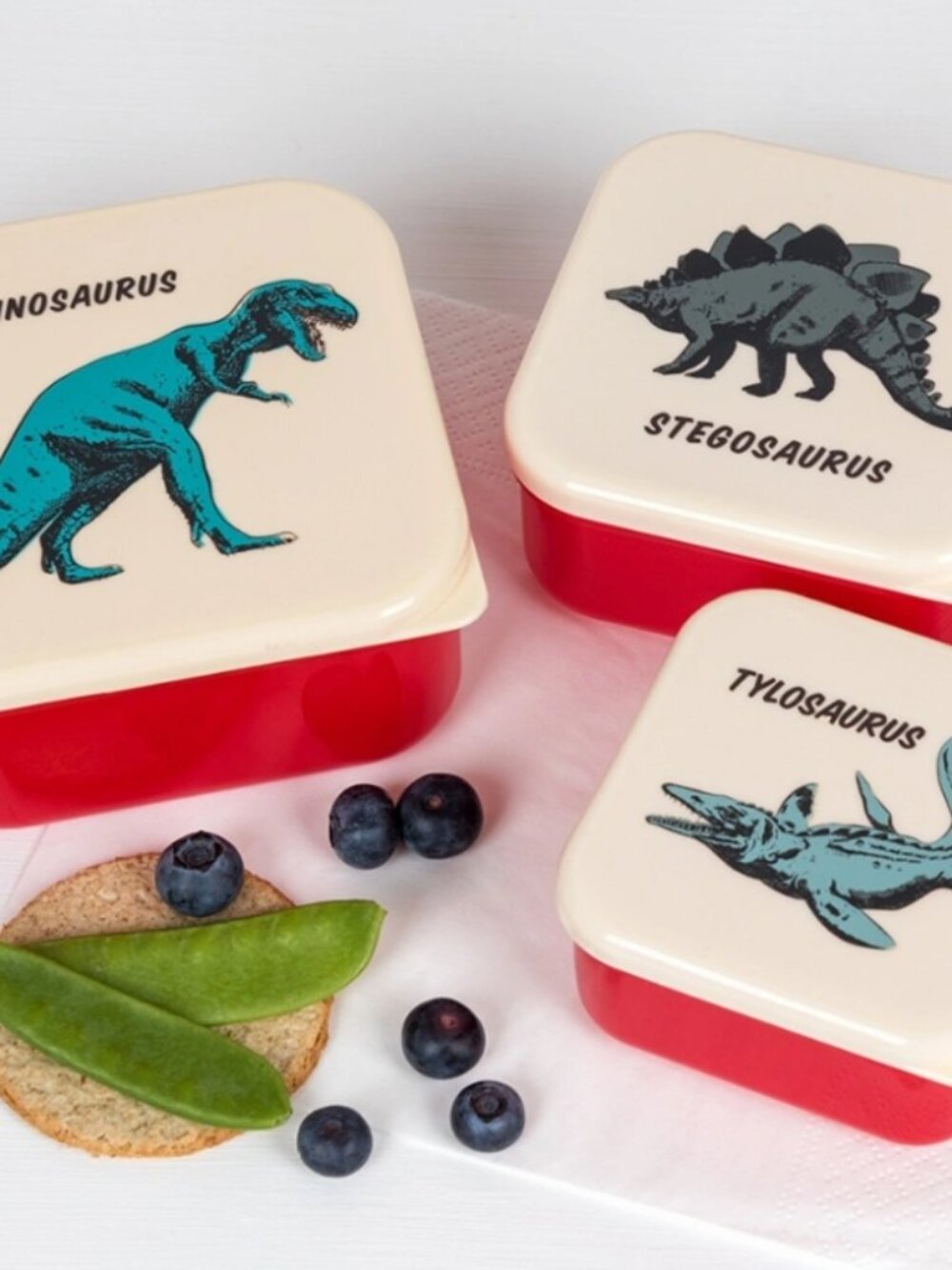 Rex London Dinosaurs Snack Boxes (Set of 3)